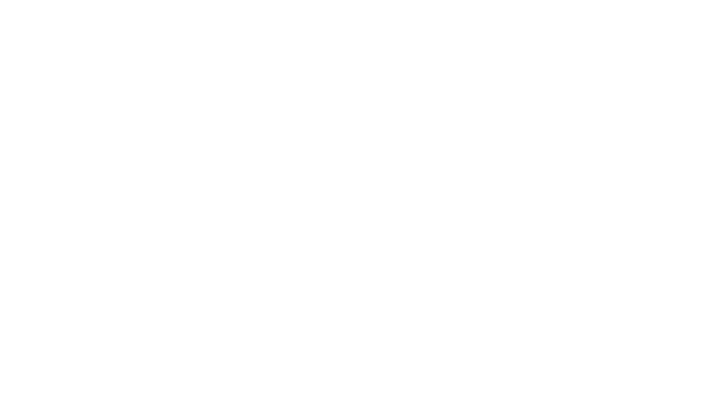 spird Logo weiß