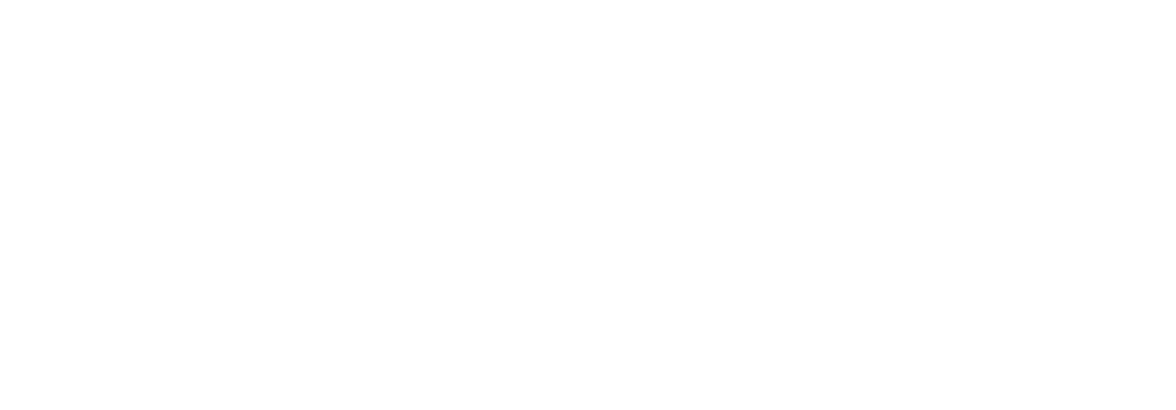 spird logo weiß cropped